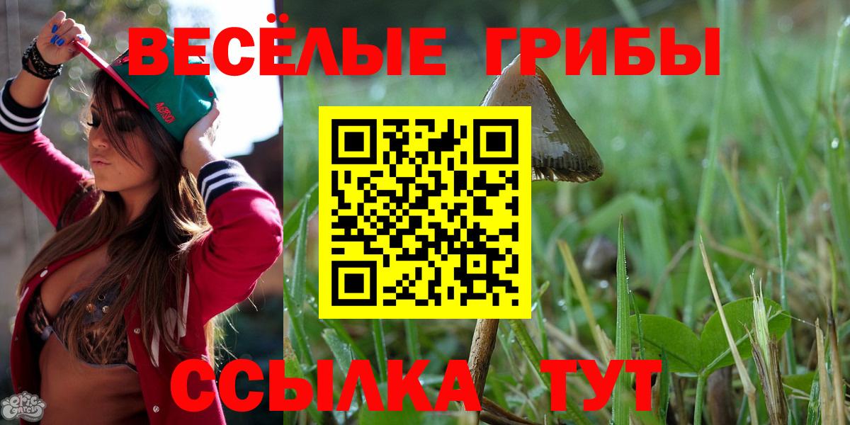 Псилоцибиновые грибы GOLDEN TEACHER  Псилоцибиновые грибы Psilocybe  Вход с VPN  Гатчина 