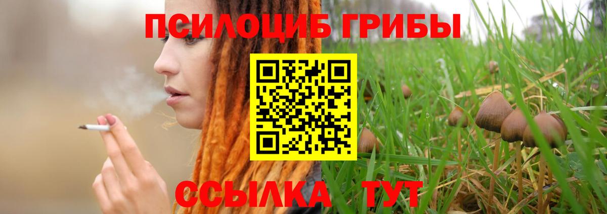 Псилоцибиновые грибы мицелий Гатчина